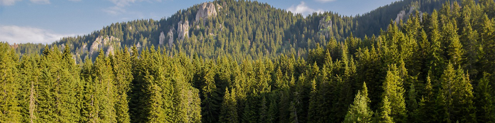 About Us - Nitsilin Seniya