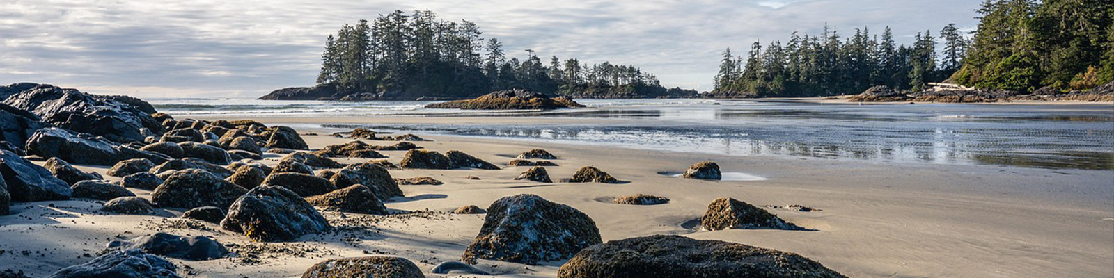 Services - Nitsilin Seniya