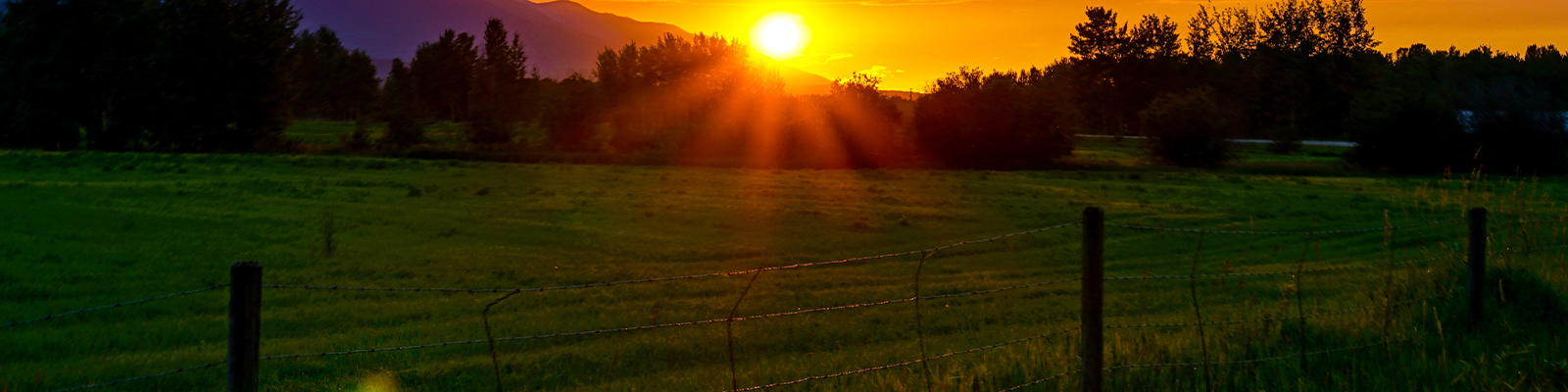 Marketing Support Services - Services - Nitsilin Seniya